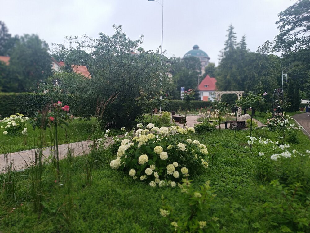 IMG_20250716_104710.jpg