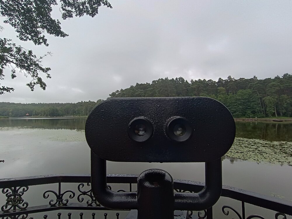 IMG_20250716_105136.jpg