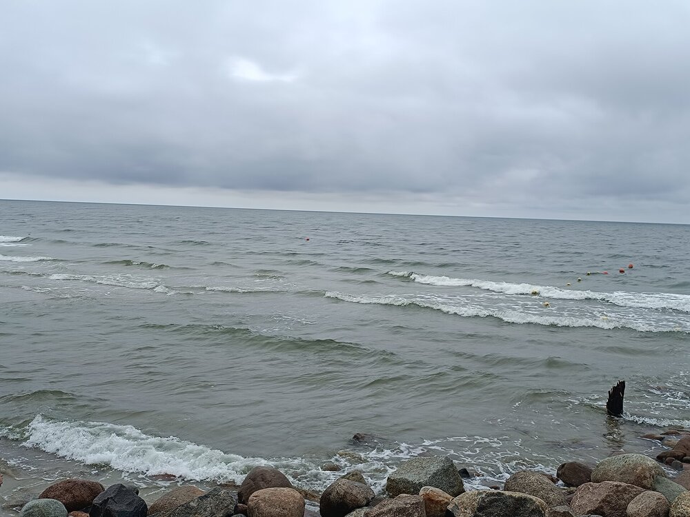 IMG_20250716_144524.jpg
