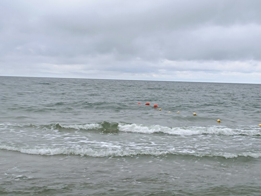 IMG_20250716_145526.jpg