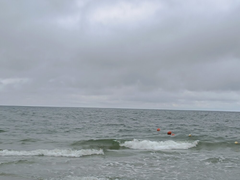 IMG_20250716_145531.jpg