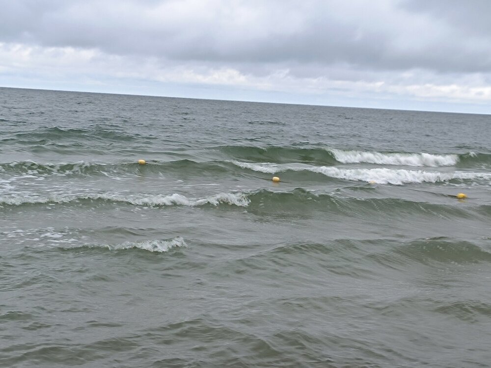IMG_20250716_145541.jpg