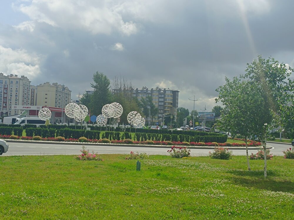 IMG_20250717_102112.jpg