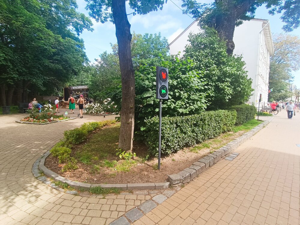 IMG_20250717_105709.jpg