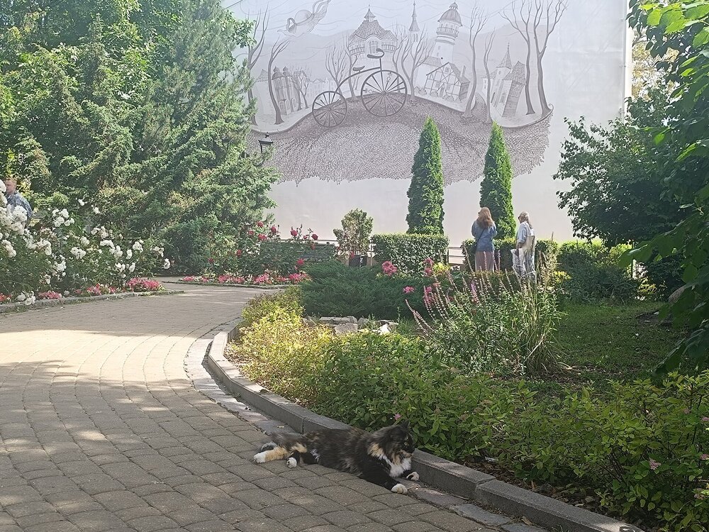 IMG_20250717_111448.jpg