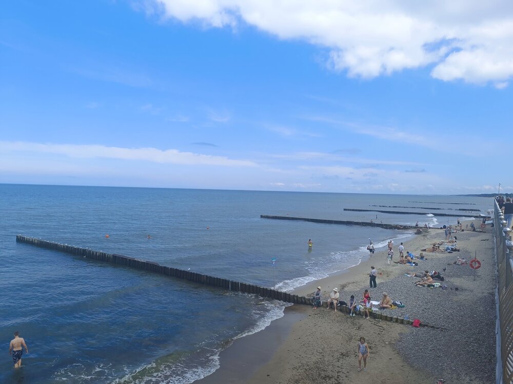 IMG_20250717_115627.jpg