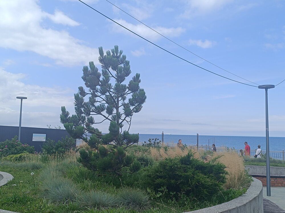 IMG_20250717_123909.jpg