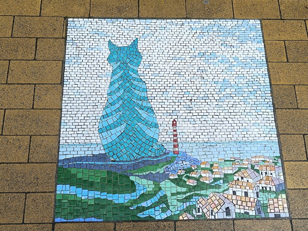 IMG_20250717_151509.jpg