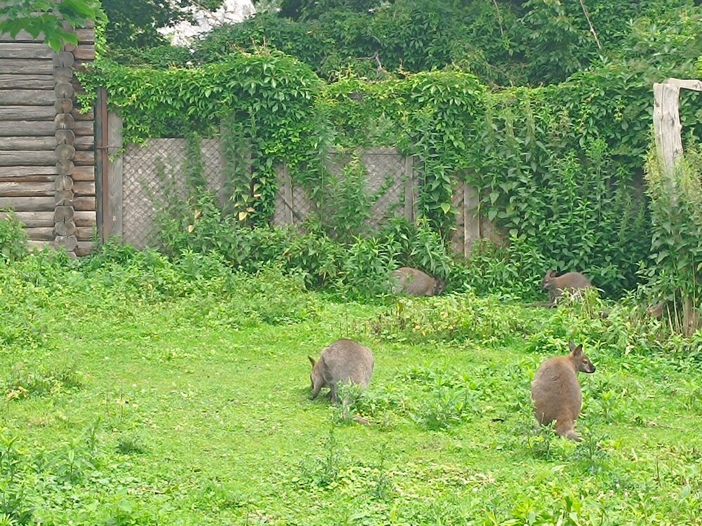 IMG_20250718_100749.jpg