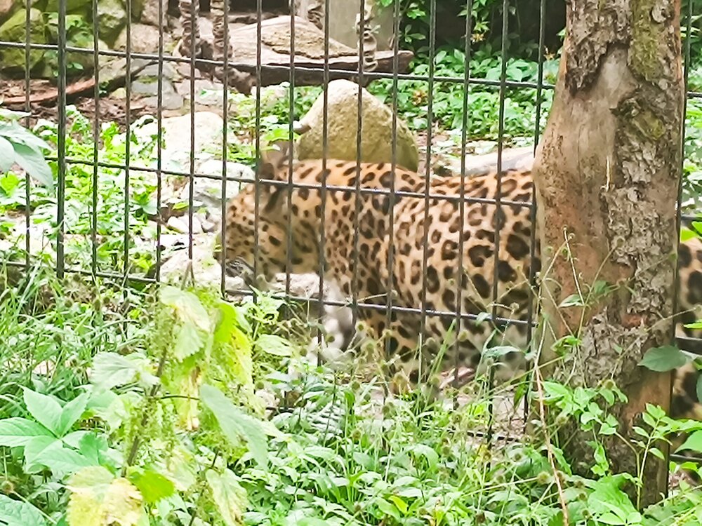 IMG_20250718_103822.jpg