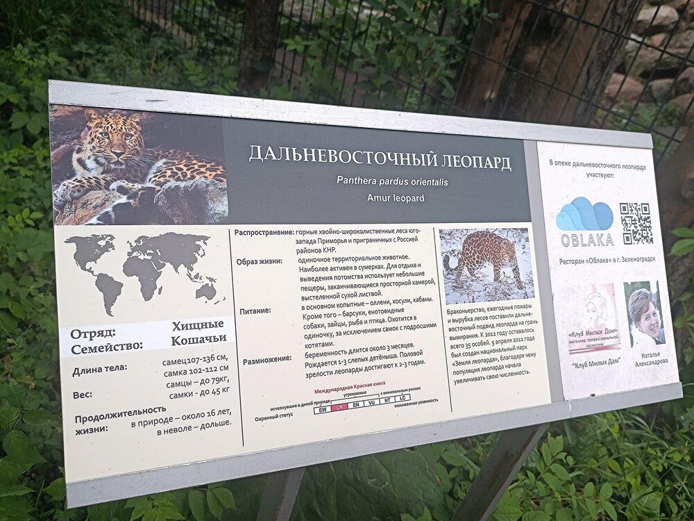IMG_20250718_104121.jpg
