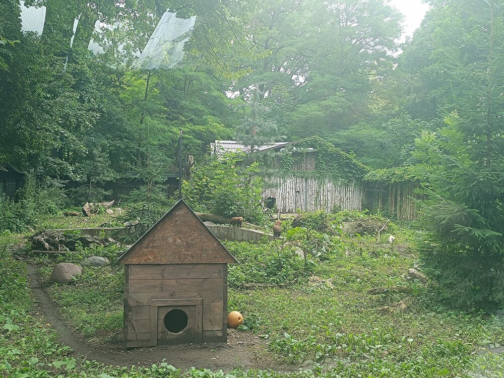 IMG_20250718_105955.jpg