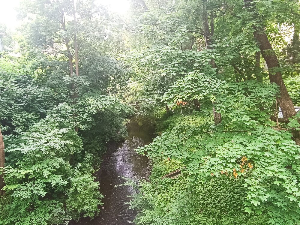 IMG_20250718_112945.jpg