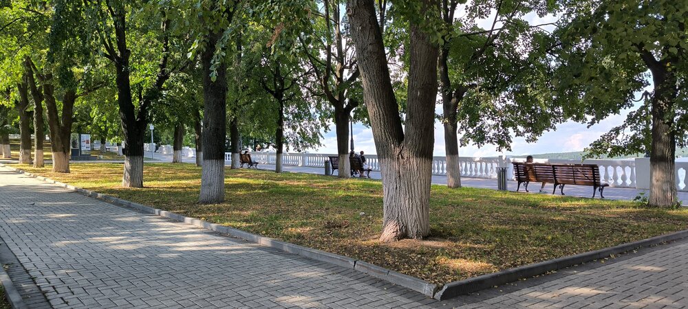 IMG_20250809_144714.jpg