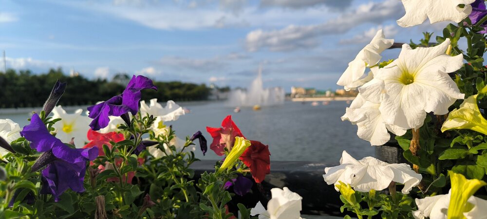 IMG_20250809_172955.jpg
