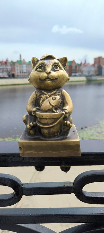 IMG_20250810_121030.jpg