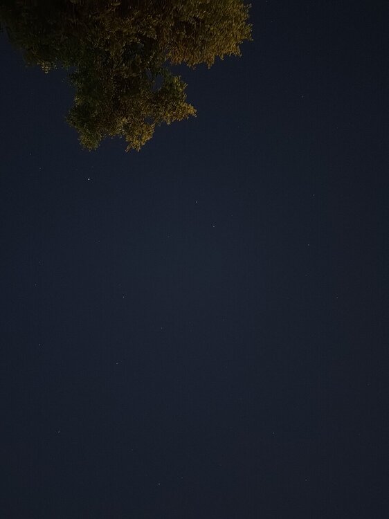 IMG_20250814_212956.jpg