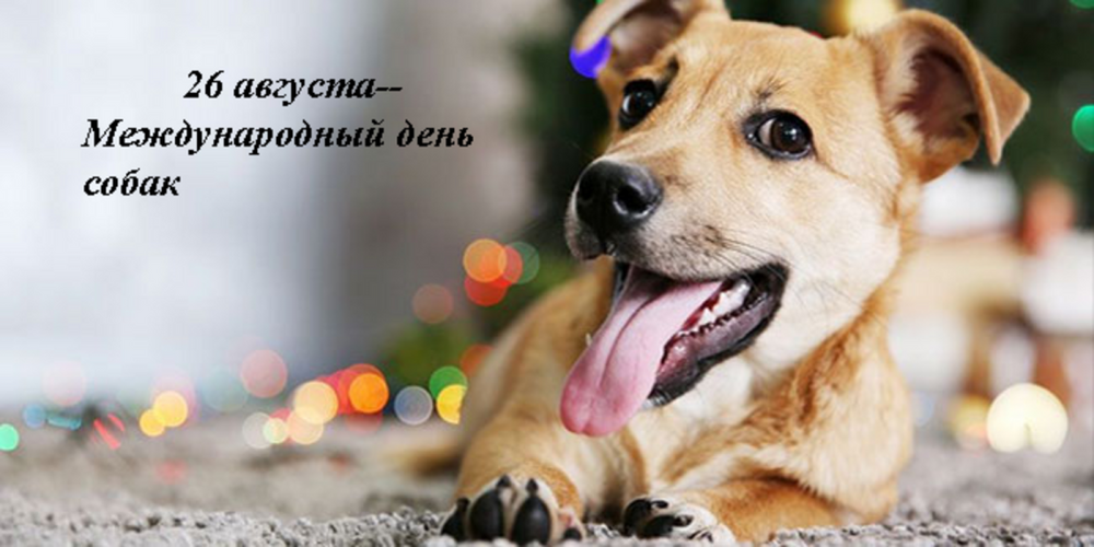 IMG_20250826_002756.png