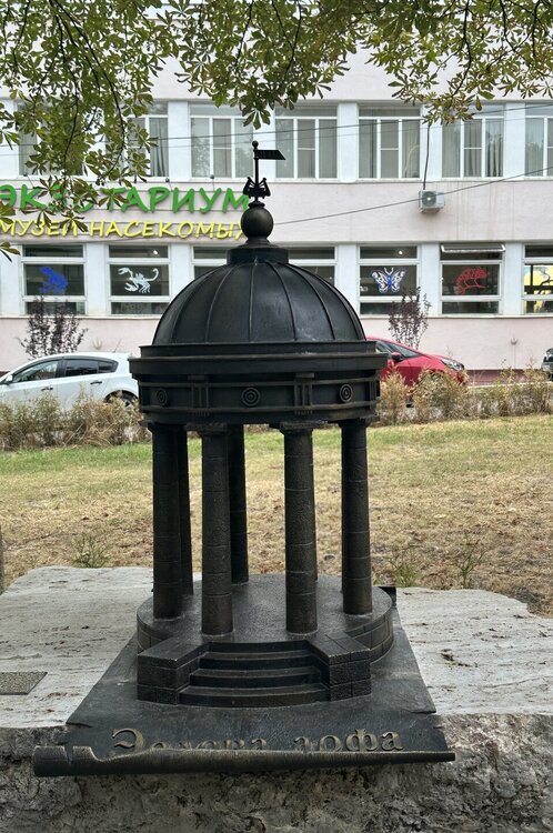 IMG_9994.jpeg