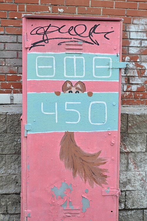 ________DSC_1365.JPG