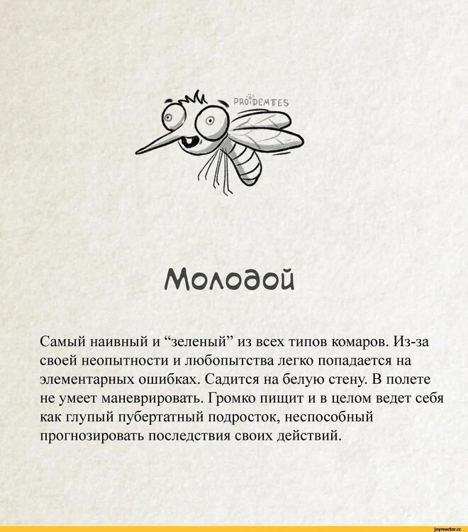 smeshnye-kartinki-pro-komarov-1122x1274px.jpg
