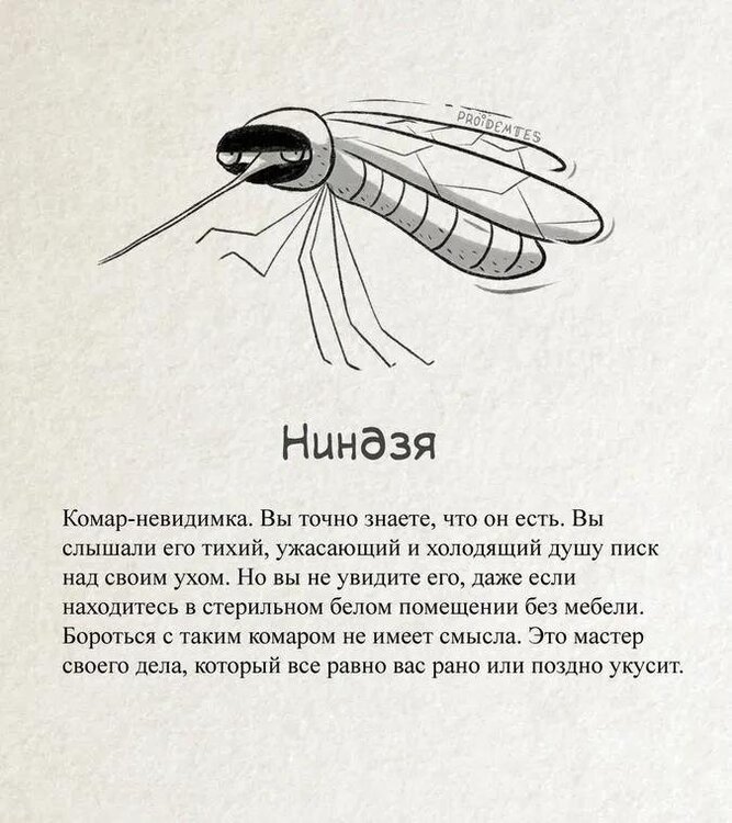 smeshnye-kartinki-pro-komarov-675x758px.jpg