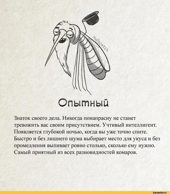 smeshnye-kartinki-pro-komarov-811x925px.jpg