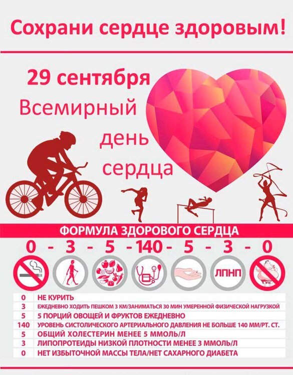 02-21-04-whd-2020-09-29-3.jpg