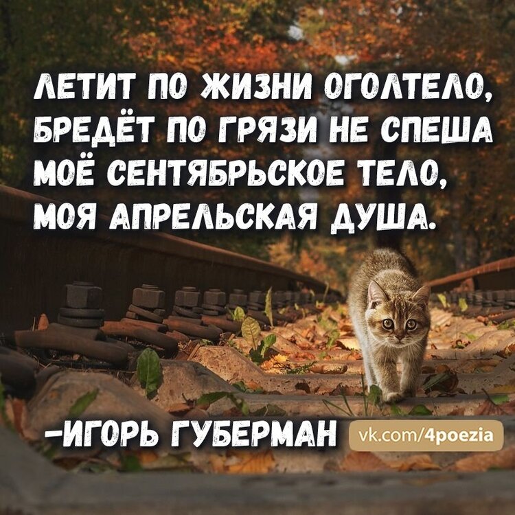 154911441516651407.jpg