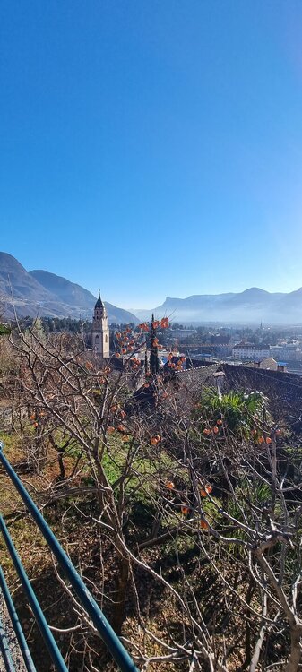 20211218_141129.jpg