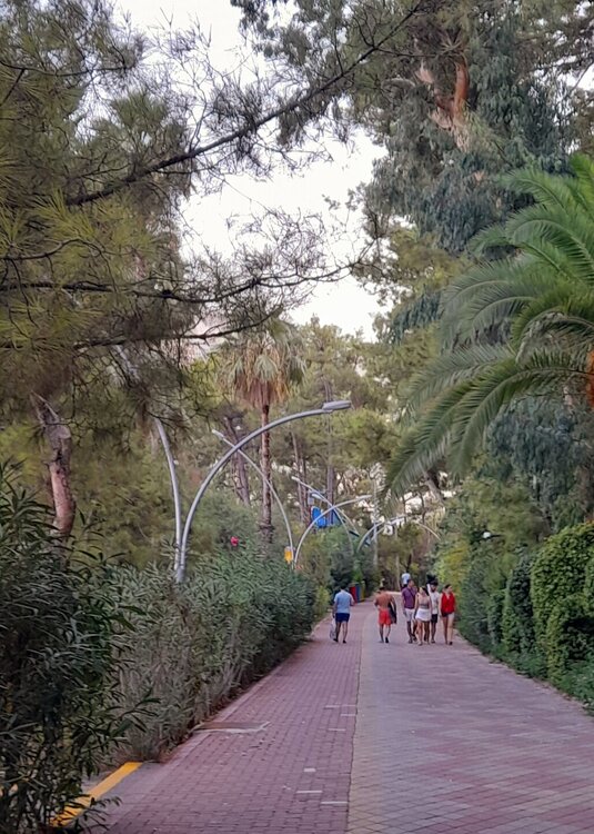 20250908_183627.jpg