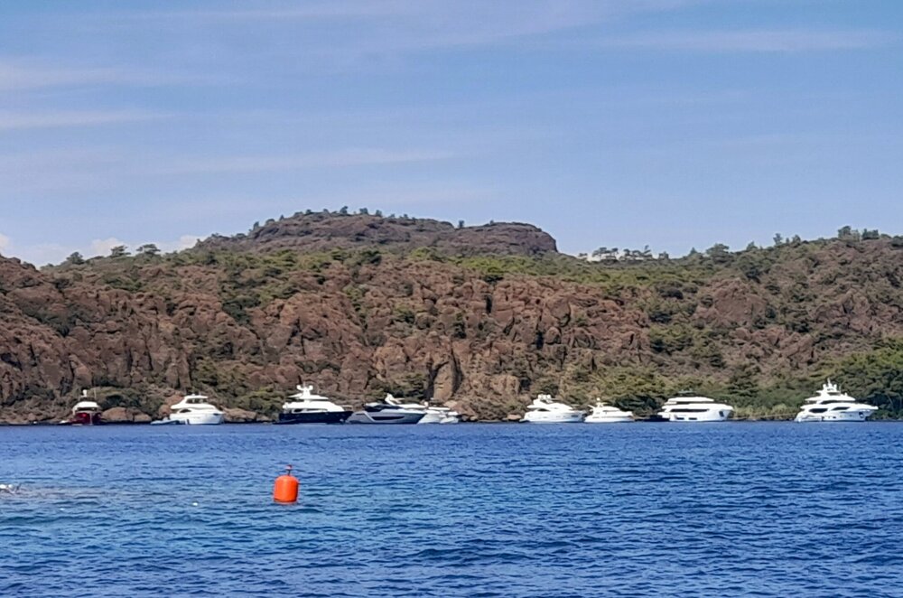 20250909_145128.jpg