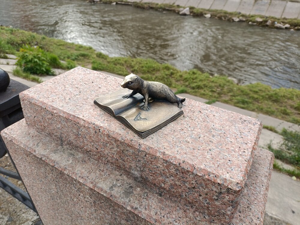 21.jpg