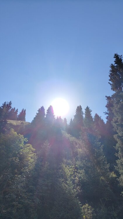 IMG20250811101025.jpg