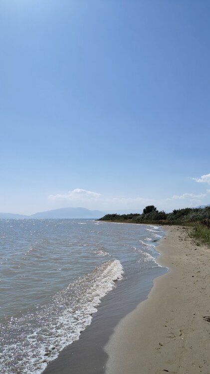 IMG20250811151634.jpg