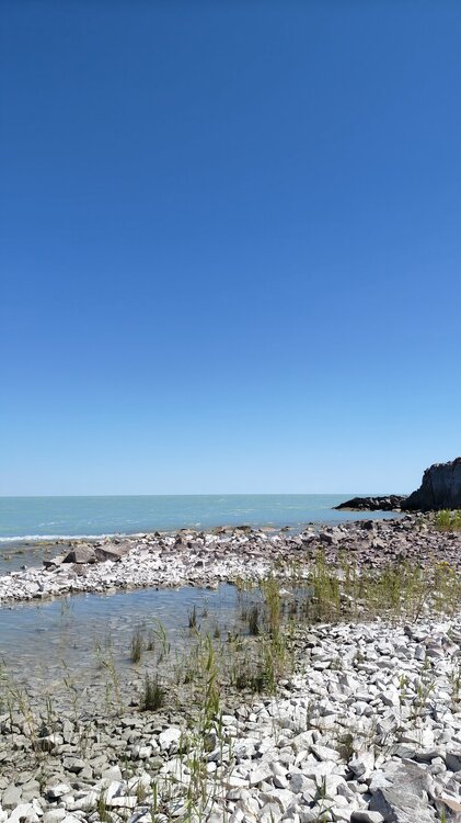 IMG20250813114635.jpg