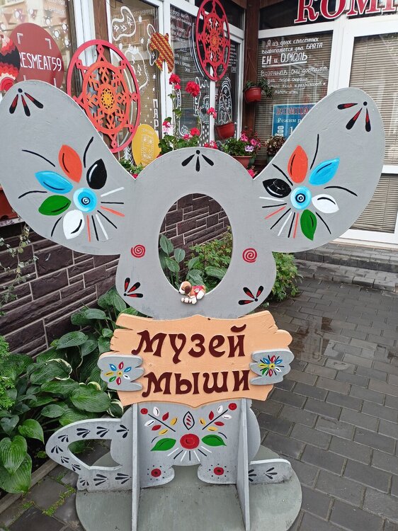 IMG20250829163727.jpg