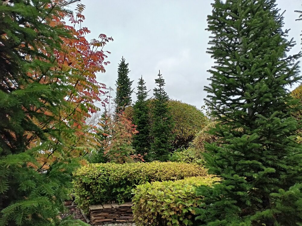 IMG20250927133609.jpg