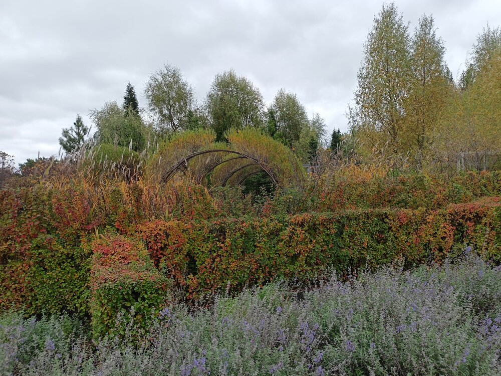IMG20250927133948.jpg
