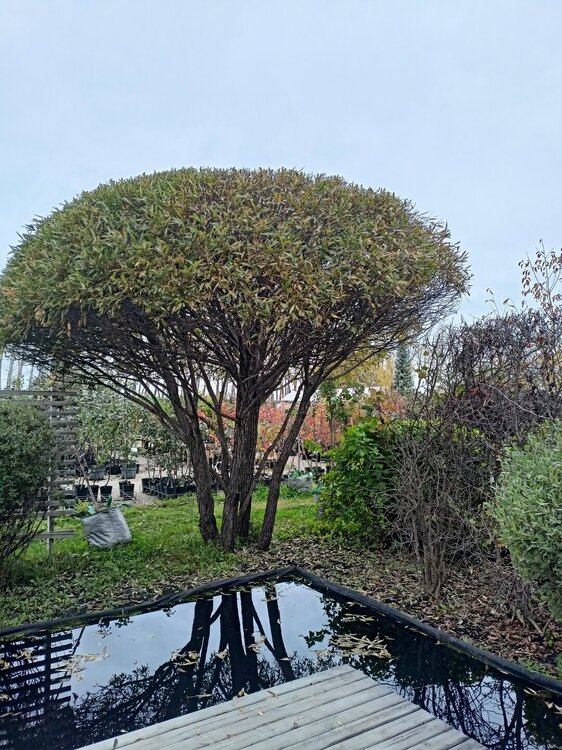 IMG20250927134401.jpg