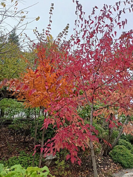 IMG20250927142135.jpg