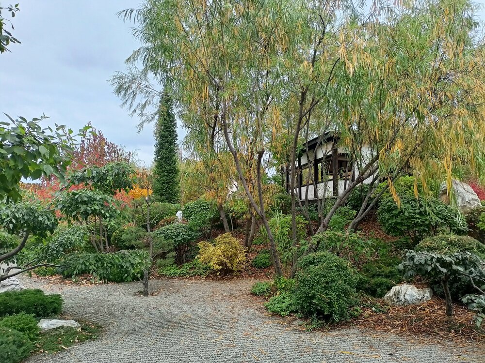 IMG20250927142207.jpg