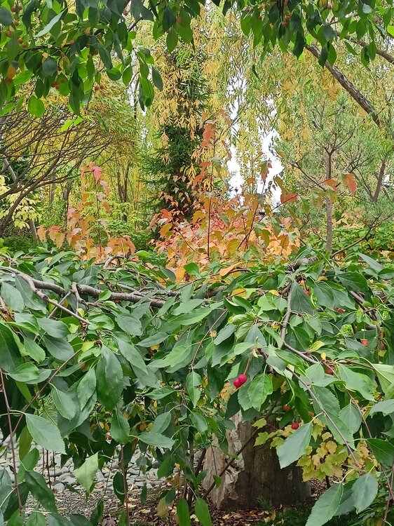 IMG20250927142315.jpg