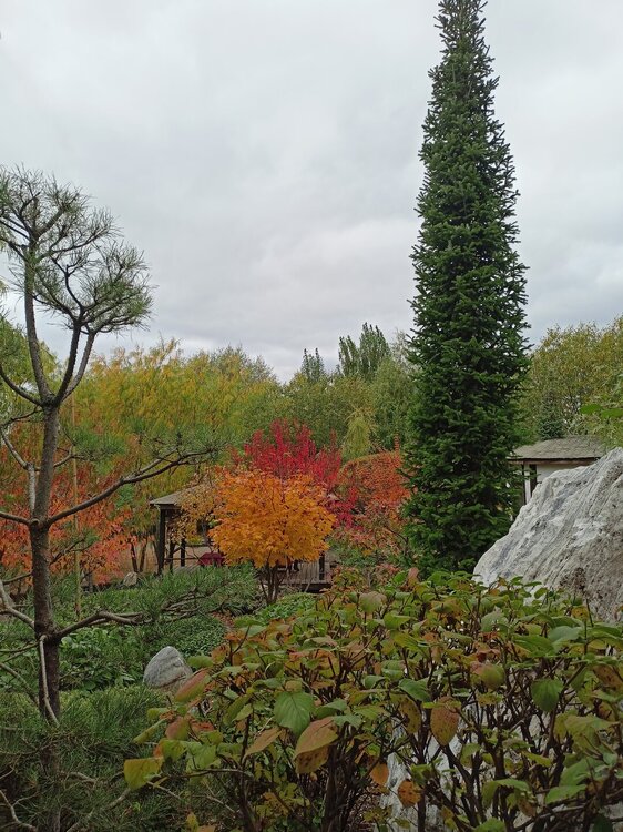 IMG20250927142906.jpg