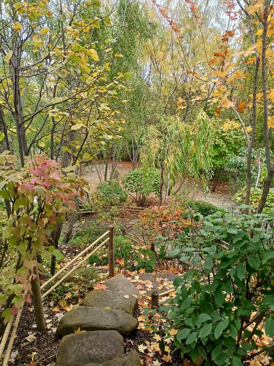 IMG20250927142938.jpg