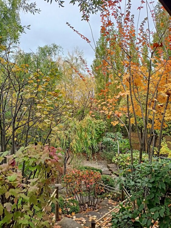 IMG20250927142959.jpg