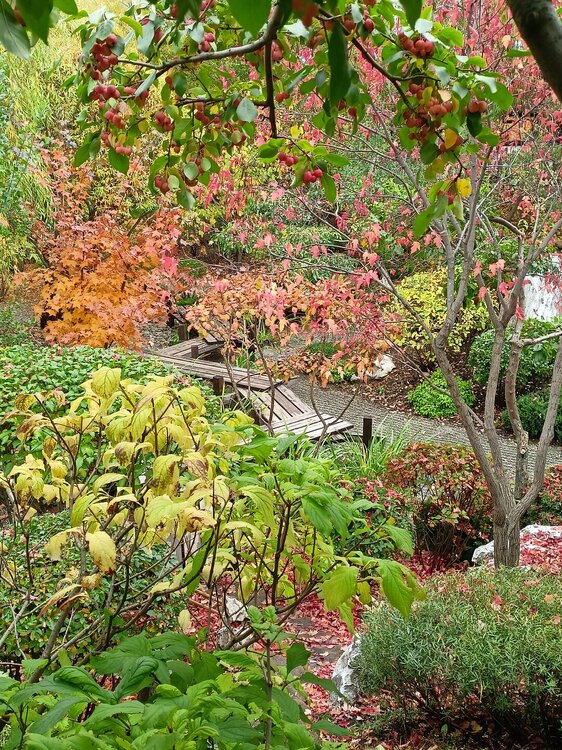 IMG20250927143227.jpg