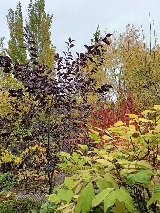 IMG20250927143254.jpg