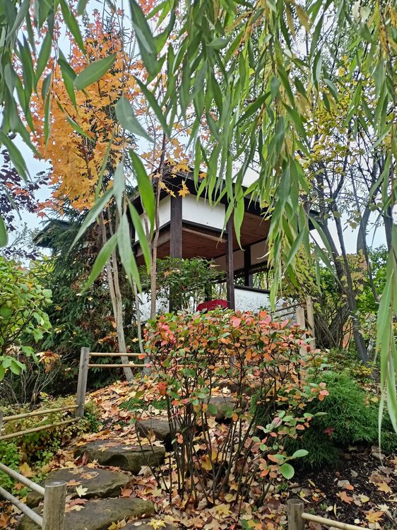 IMG20250927143748.jpg