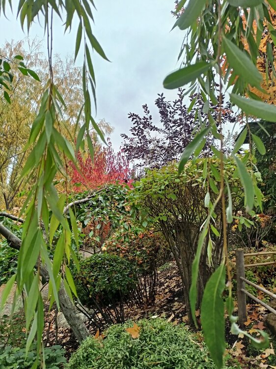IMG20250927143755.jpg